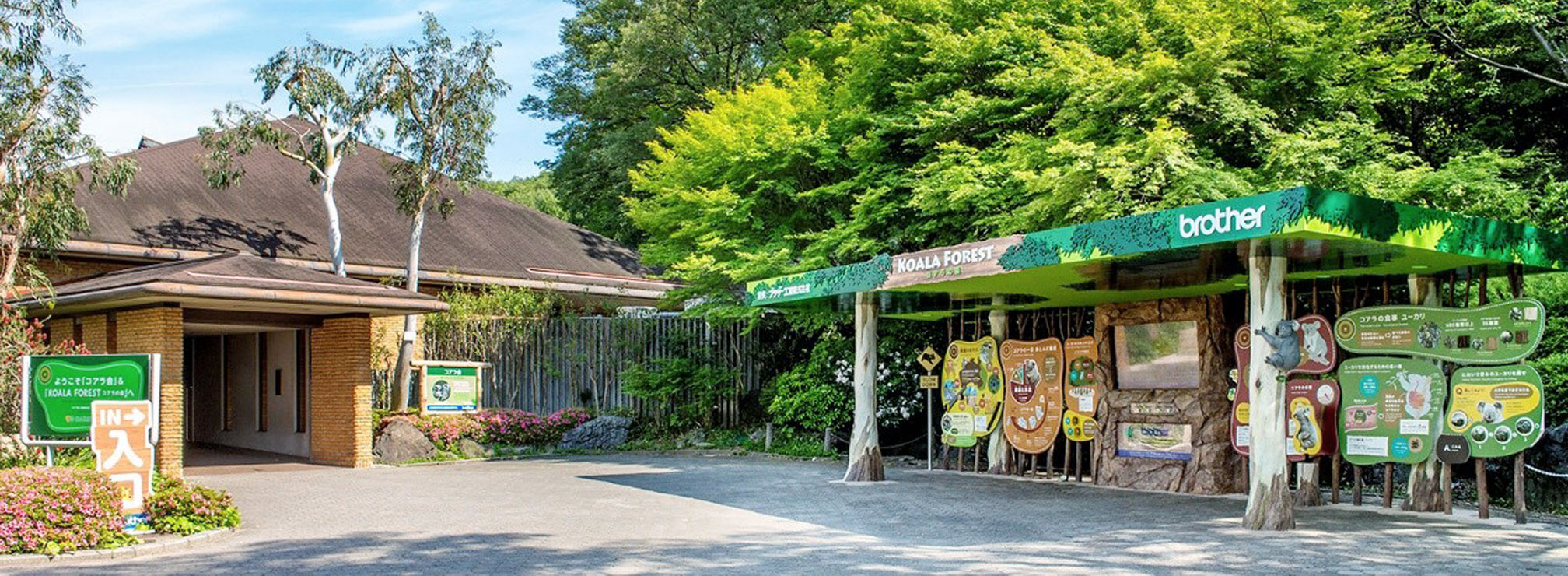 東山動植物園のコアラ舎とKOALA FORESTの写真