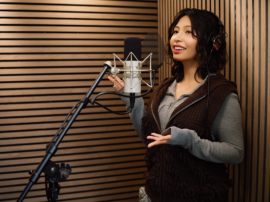 Karaoke record making experience