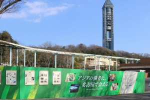 装飾を施したフェンス