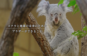 コアラと地球の未来のために〜ブラザーができること〜