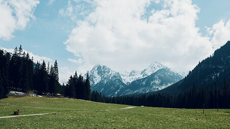 Slovakia project