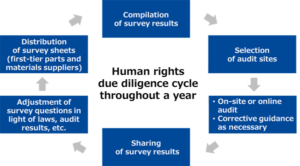 Human rights due diligence cycle throughout a year